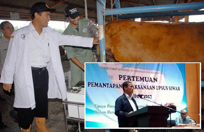 Upsus Siwab Anggarkan Rp1 Triliun Dukung Inseminasi Buatan 4 Juta Sapi Indukan